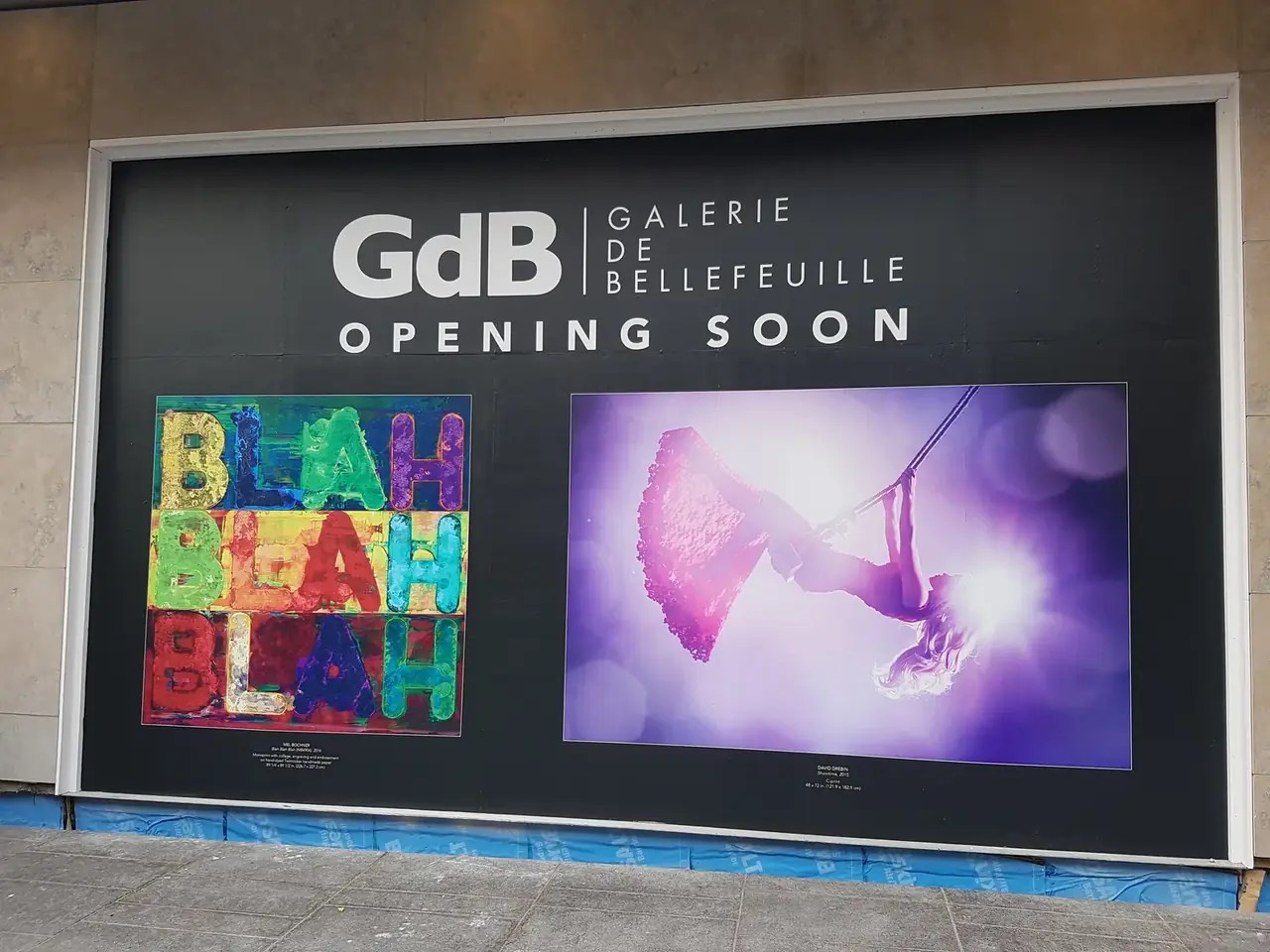 Printed window graphics installed on a gallery storefront by Performance Graphics